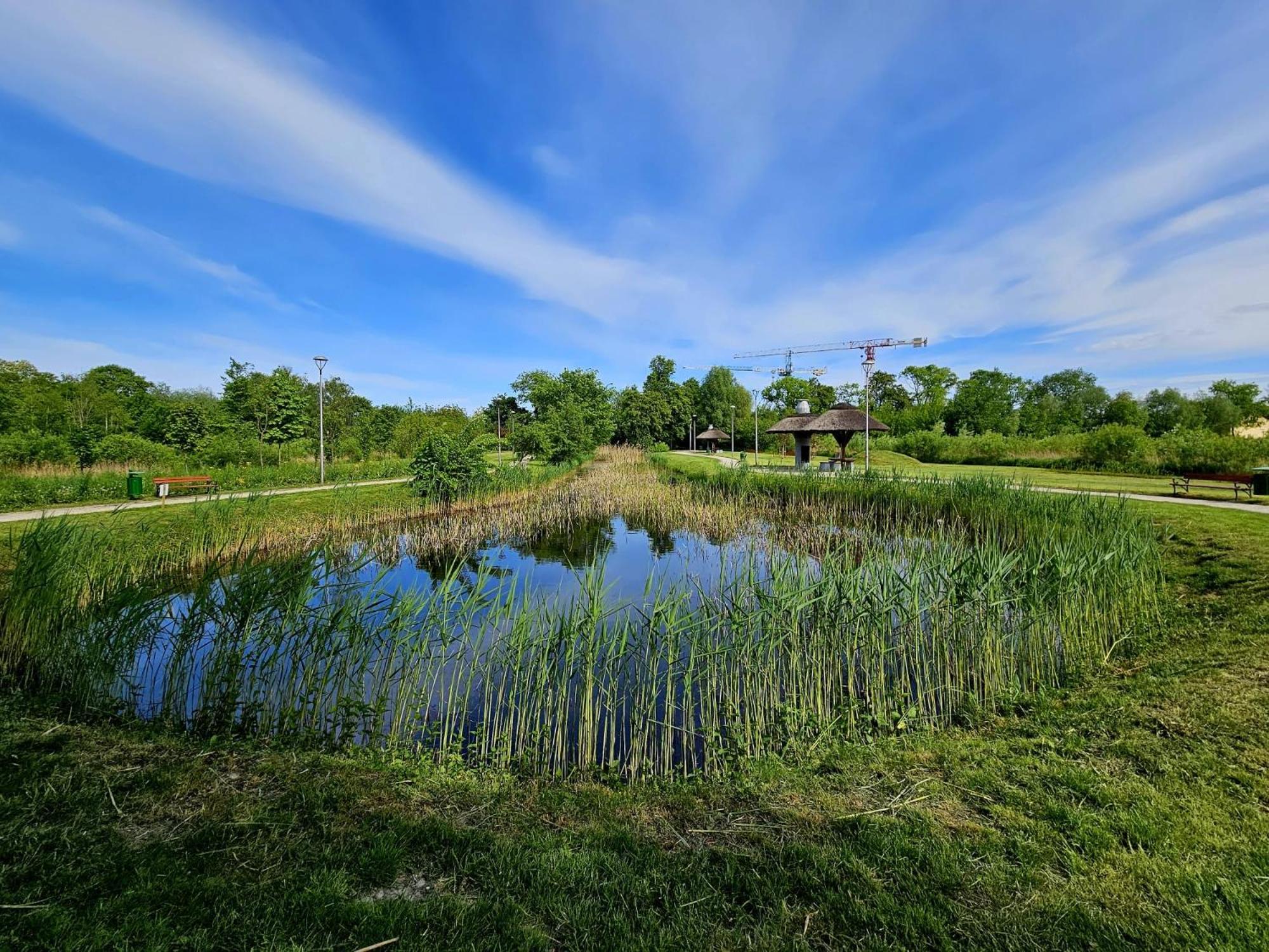 Hidden Studio Borzecin Duzy ภายนอก รูปภาพ